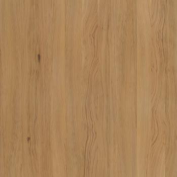 Кедр ливанский [Lebanon Cedar]