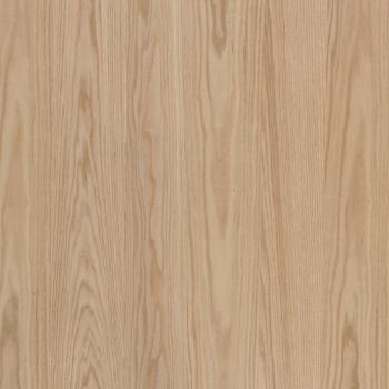 Дуб американский [Oak American]