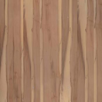 Бук эко [Beech Eco]