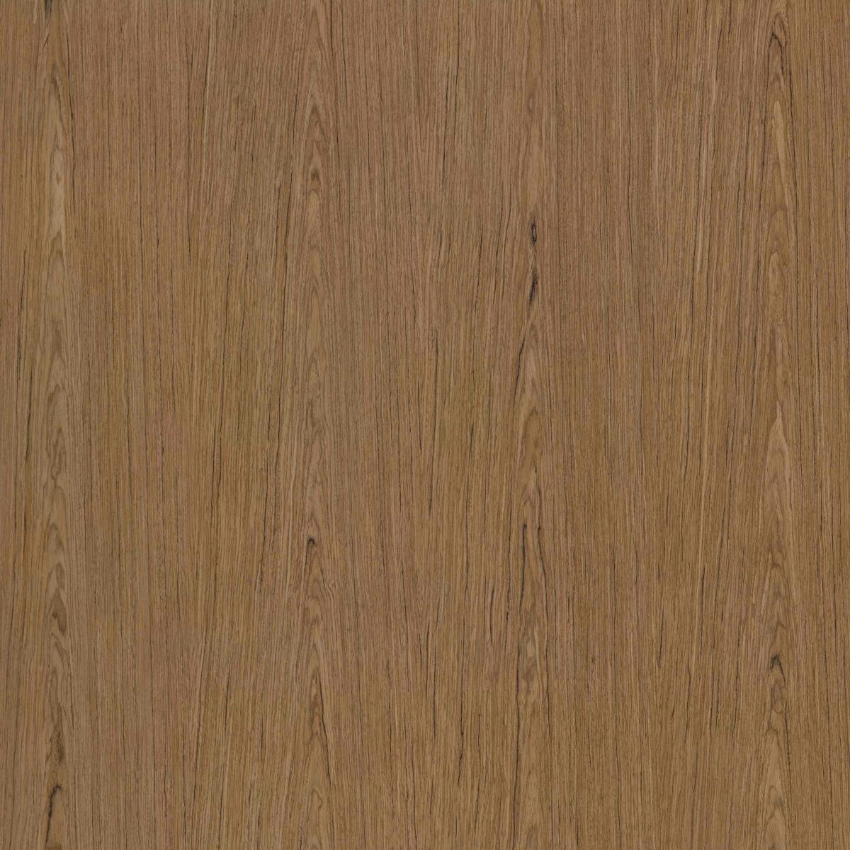 Albero 073C