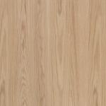 Дуб американский [Oak American]